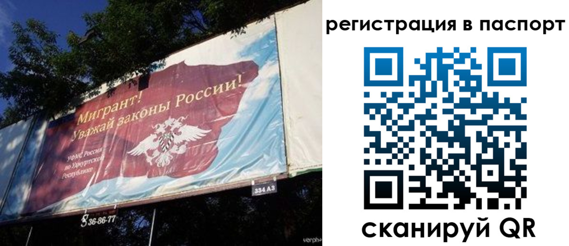 прописка поиск в Перми